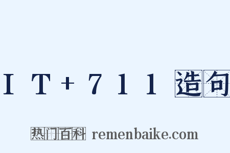 IT+711造句是什么意思的图片